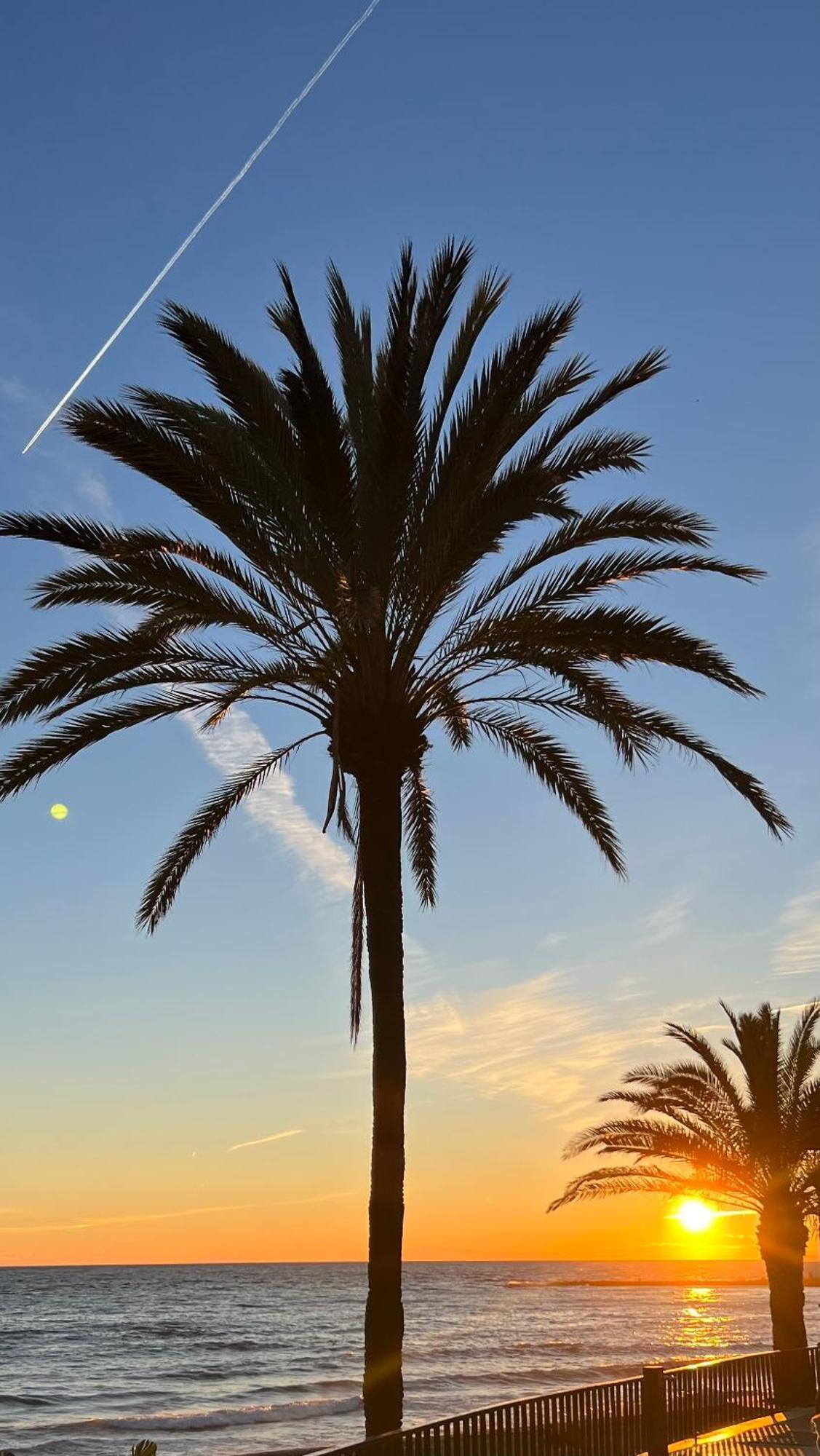Apartamento Al Parque Marbella, Cerca De Mar Y Centro De マルベーリャ エクステリア 写真