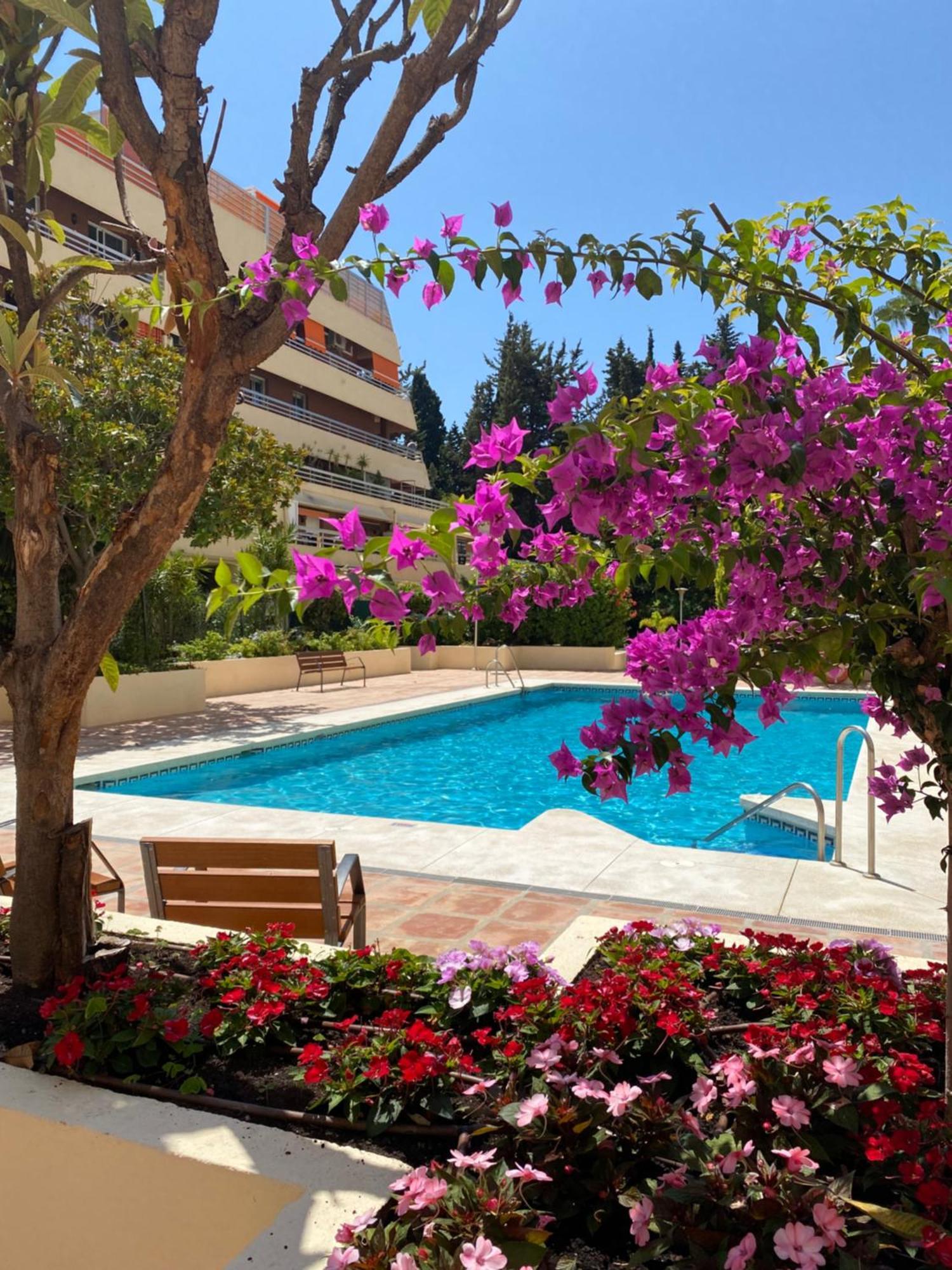 Apartamento Al Parque Marbella, Cerca De Mar Y Centro De マルベーリャ エクステリア 写真